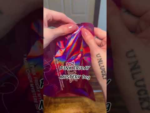 Victoria’s Secret PINK Mystery Collection Dog 🐕💖