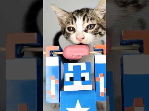 ASMR Mukbang Kitten Eating Sausage 👾🌭