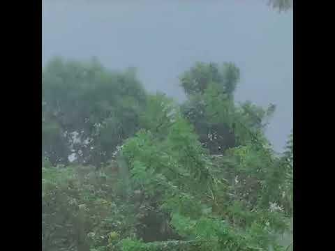 Rain Sounds for Sleeping| ASMR Sleep