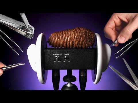 ASMR Harmony of Pine cone, Tweezers, Scissors, Nail Clippers 솔방울, 핀셋, 가위, 손톱깎기의 하모니
