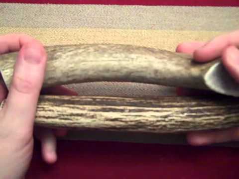 Playing With Antlers (ASMR)