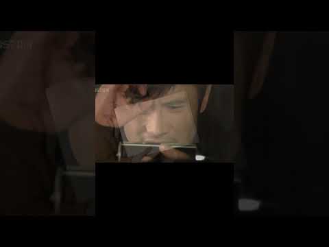 피카소람잉