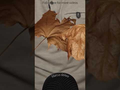 ASMR Lightly Scratching 2 Leaves Together #short