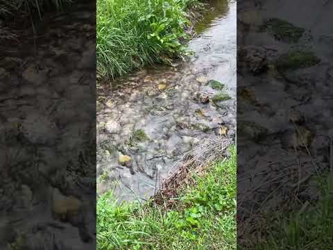 Babbling brook ASMR