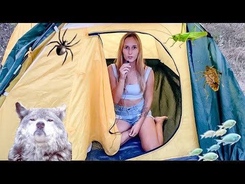 АСМР 🌳 НА ПРИРОДЕ , БЕРЕГ РЕКИ. ASMR in NATURE