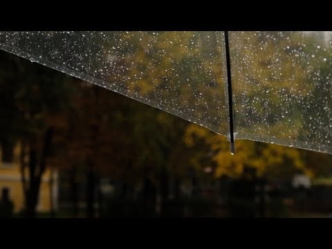 Thunderstorm at the Window 🌧️ 8 Hour Rain, Thunder & Green Noise for Sleep ✨