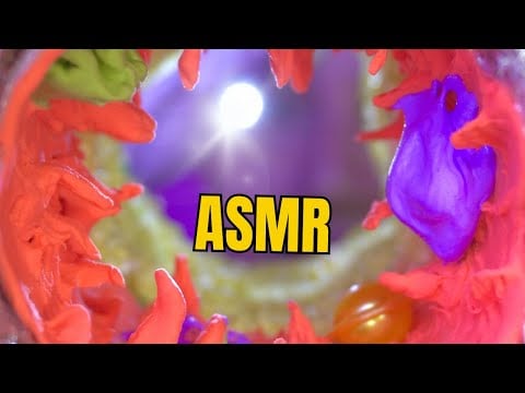 ASMR Clean Your Ear | Making Relax and Sleep