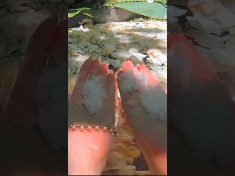 POV: Cleansed Like Royalty #asmr