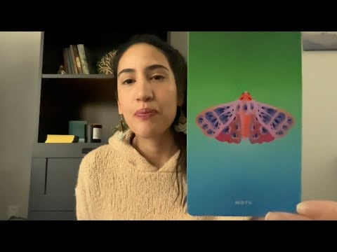 Quick card reading | end of month | animal guides 