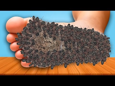 ASMR Foot Spa Bliss 💆‍♀️ | Tingle Triggers & Calm Vibes