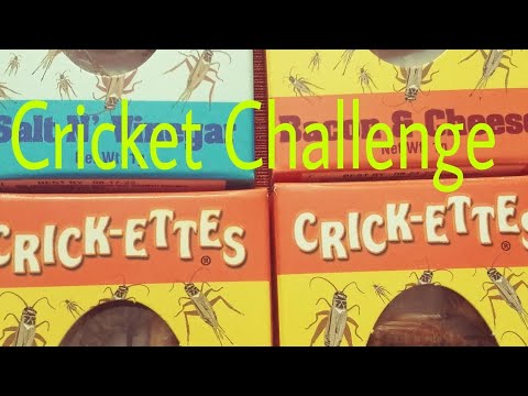 CRICKET  EATING CHALLENGE:Igorot in Denver Colorado 🇺🇸