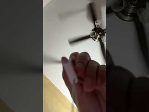 ASMR | Plucking and random (no talking)