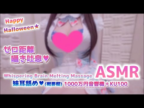 🔴[ASMR] 耳●めこの後概要↓超高音質でお耳とろけさせちゃう♡耳ふー囁き吐息。Halloween🎃 Ear Massage, Brain Tingling【Whispering/KU100】