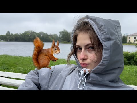 Forest ASMR •☆• Looking for a Squirrel •☆• lofi, tapping, scratching, whispers, chaotic