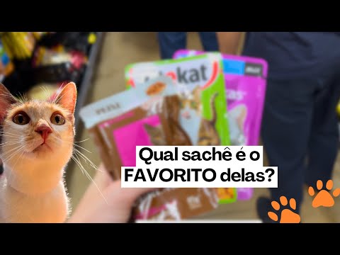 GATINHAS TESTAM 3 SACHÊS: Barato vs Caro