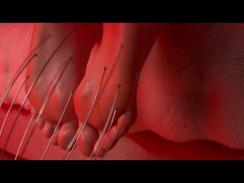 ASMR Making My Sister Laugh Using Random Tools