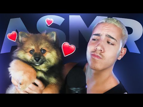 ASMR COM MEU NOVO CACHORRINHO