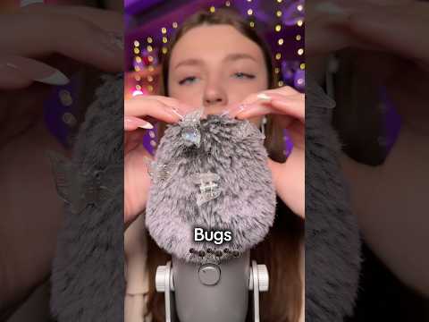 Bugs 🐜 #asmr #asmrsounds #asmrrelax #asmrsleep #relax #tingles #asmrvideo #relaxingvideos