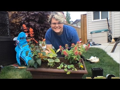 Plant A Pride Planter With Me! (Voiceover) | Eclectic ASMR