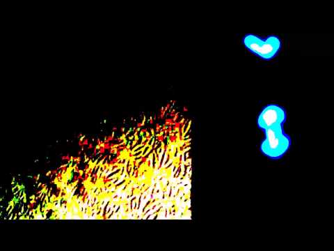 Synergy ★ The Auracle & Myopia ASMR collaboration