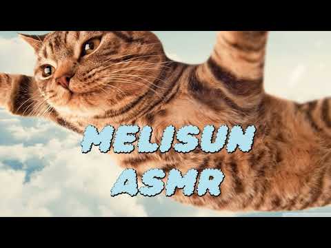 DIRECTO ASMR MELI ASMR con TAO DALI STREAMER