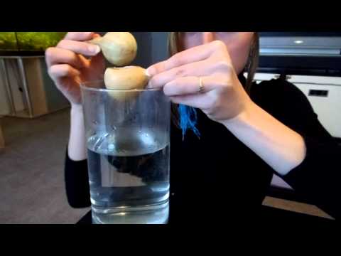 ASMR Whispering - Water, Sugar & Pumpkins (50Th video!!!)