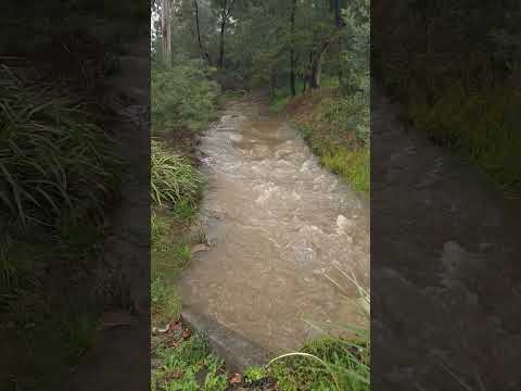 this stream is so soothing to me 😴 #asmr #asmrsounds #relax #asmrvideo #munasmr #river #watersounds