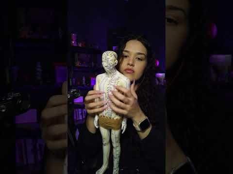 gatilho: boneco de acupuntura #asmr  #asmracupressure
