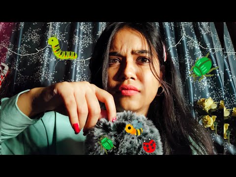 ASMR HINDI SEARCHING BUGS 🐛🐞