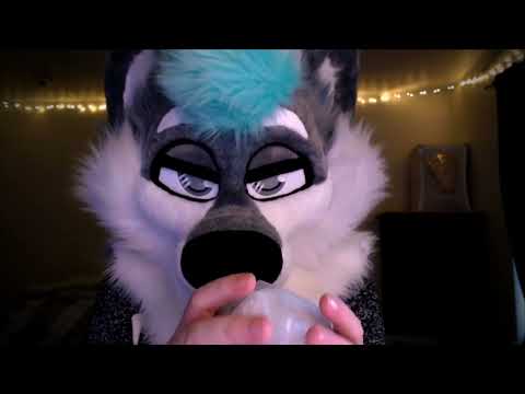 Dumb Wolf vs Trash Bag [FURRY ASMR]