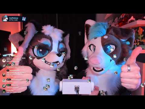 Furry ASMR with two blue dogs