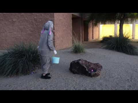 Happy Easter! Enjoy Me Hopping Around Like A Dum Dum XD