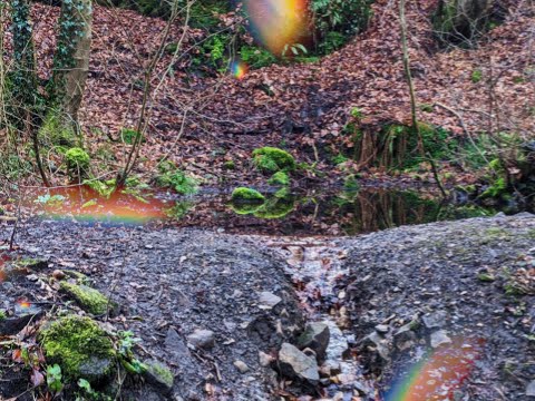 ASMR: Mini Waterfall Sounds 🐦 #Shorts