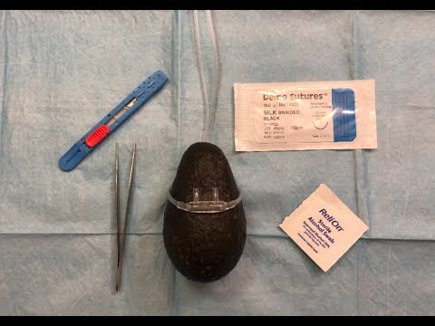 [ASMR] Surgery On AVOCADO