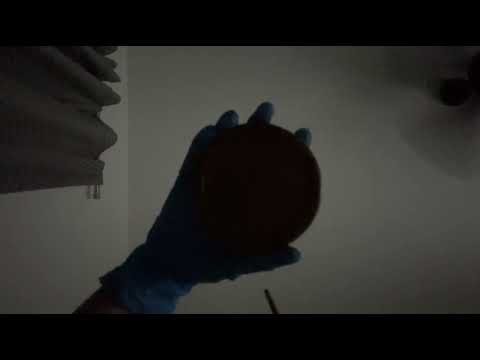 ASMR | Nonsensical medical exam (doctor roleplay, cranial nerve, sharp or dull, camera tap, dentist)
