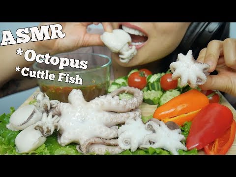 ASMR Octopus + Cuttle Fish (EXTREME CHEWY EATING SOUNDS) No Talking | SAS-ASMR