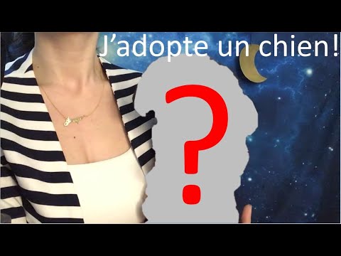 ASMR * J'adopte un chien * Trouvons un nom !