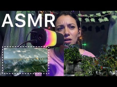 ASMR POV: EL DÍA QUE UN ÁRBOL CASI ME MA+A / STORY TIME REAL PARTE 1