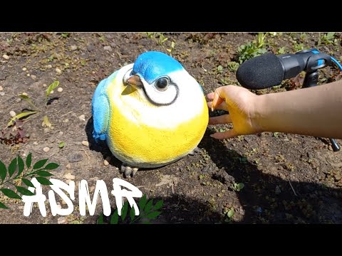 АСМР НА ПРИРОДЕ 🌿 ASMR ON NATURE #1