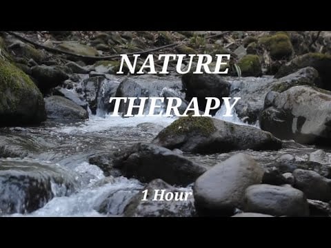 Relaxing Stream Sounds | Nature Therapy for Sleep & Stress Relief
