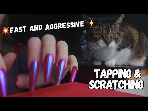 Tapping and Scratching on Different Surfaces *fast and aggressive*