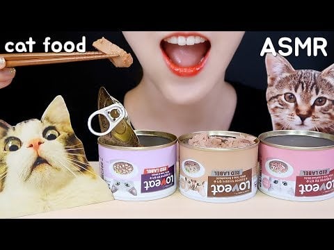 ASMR CAT FOOD EATING ASMR CAT TUNA MUKBANG ASMR NO TALKING PRANK ASMR