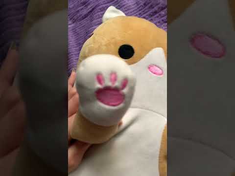 АСМР знакомлю тебя с плюшевым Цемой и кошкой Лоджией =3