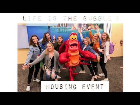 housing meeting and life is the bubbles housing event // dcp spring 2019