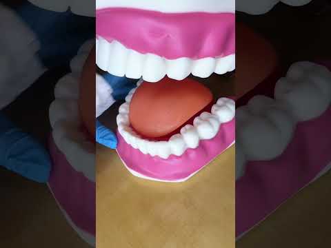 Asmr - fazendo plaquinha do seu dente #shorts