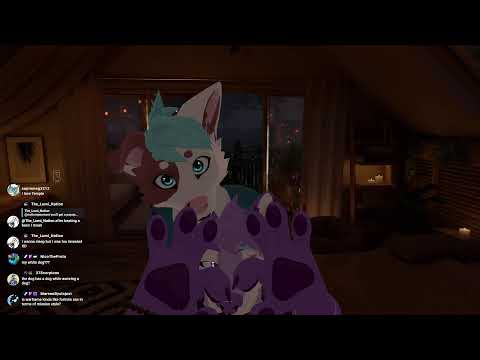 Live Furry ASMR with Jacko!