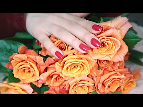 Special Gift 🌹 ASMR 🌹 WHISPER 🌹 Crisp Sounds