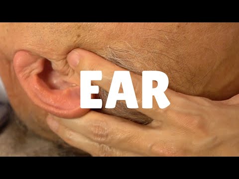 耳もみ | 耳とその周辺へのワーク
