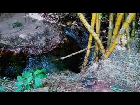 ASMR Um lugar que eu fico quando preciso estar só| Greiciane Relaxing