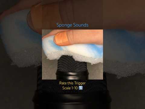 Sponge Sounds! 🩵 (ASMR)